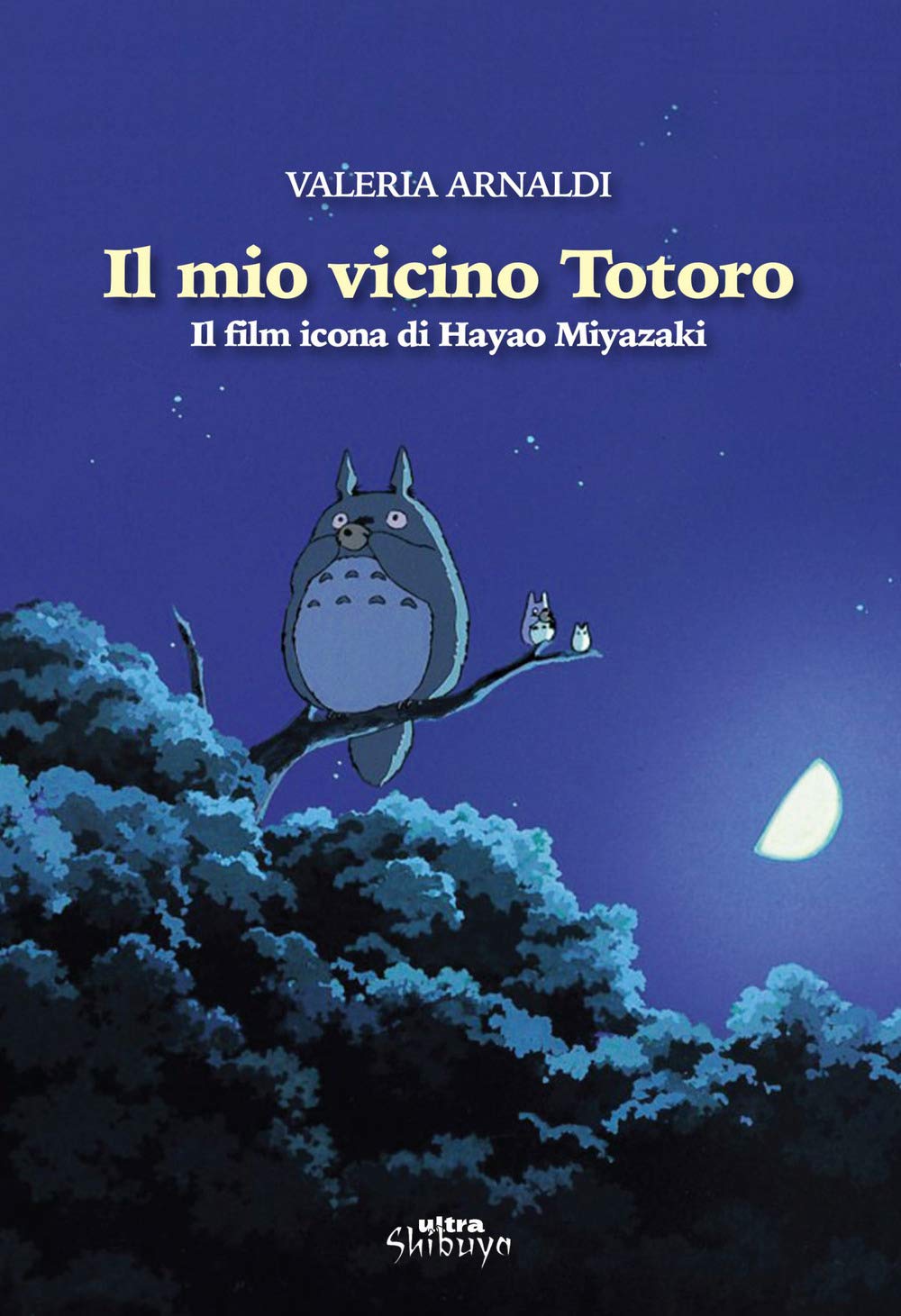 Il mio vicino Totoro. Il film icona di Hayao Miyazaki book