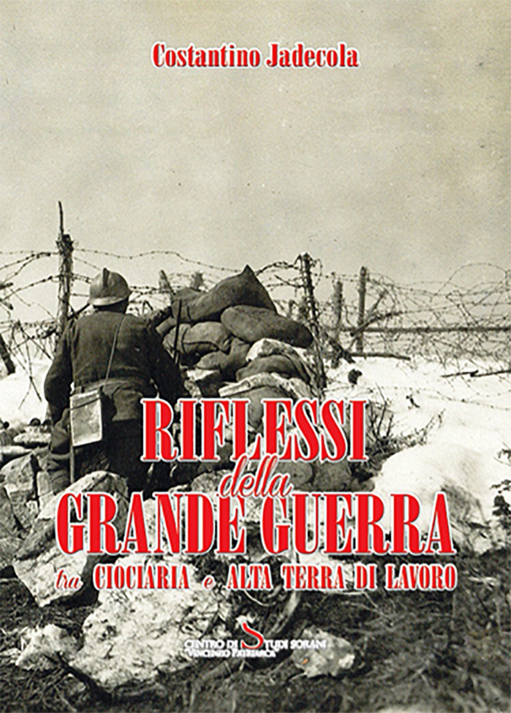 Riflessi della grande guerra tra ciociaria e alta terra di lavoro (Cultura. Società. Istituzioni) Books