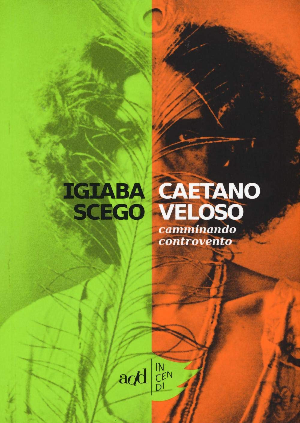 Caetano Veloso. Camminando controvento book