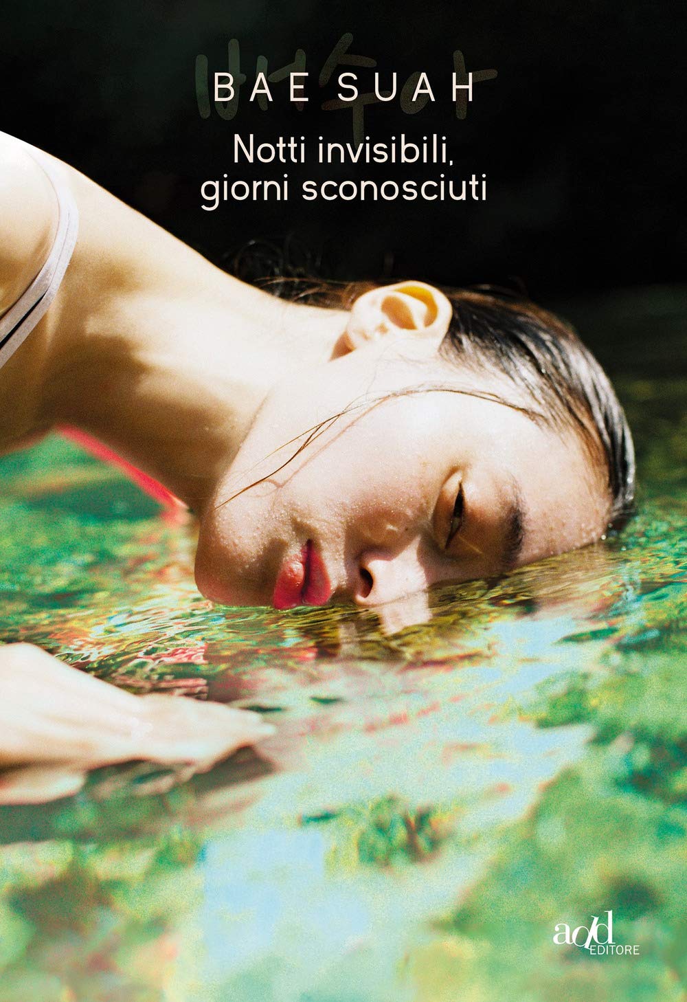 Notti invisibili, giorni sconosciuti book