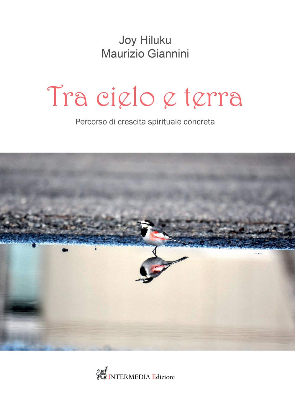 Tra cielo e terra. Percorso di crescita spirituale concreta book