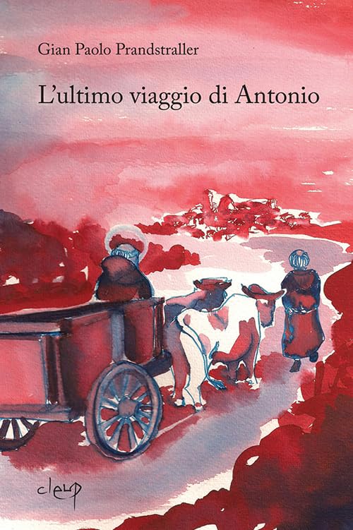 L'ultimo viaggio di Antonio book