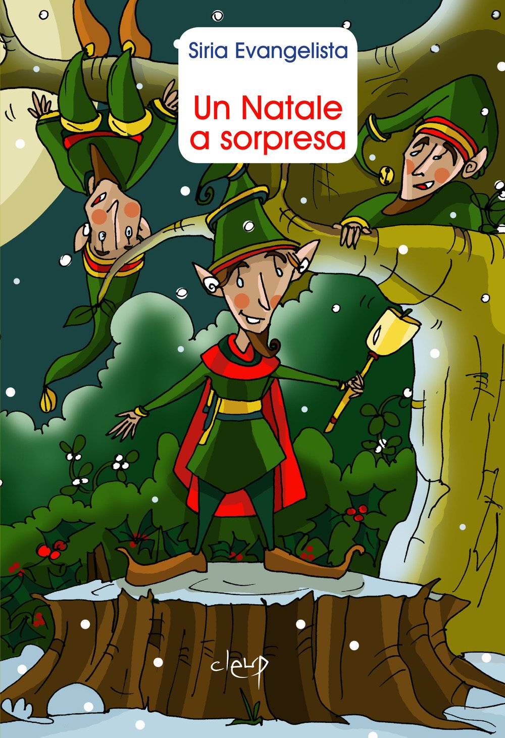 Un Natale a sorpresa book