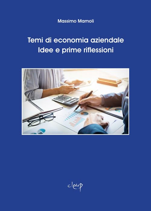 Temi di economia aziendale. Idee e prime riflessioni book
