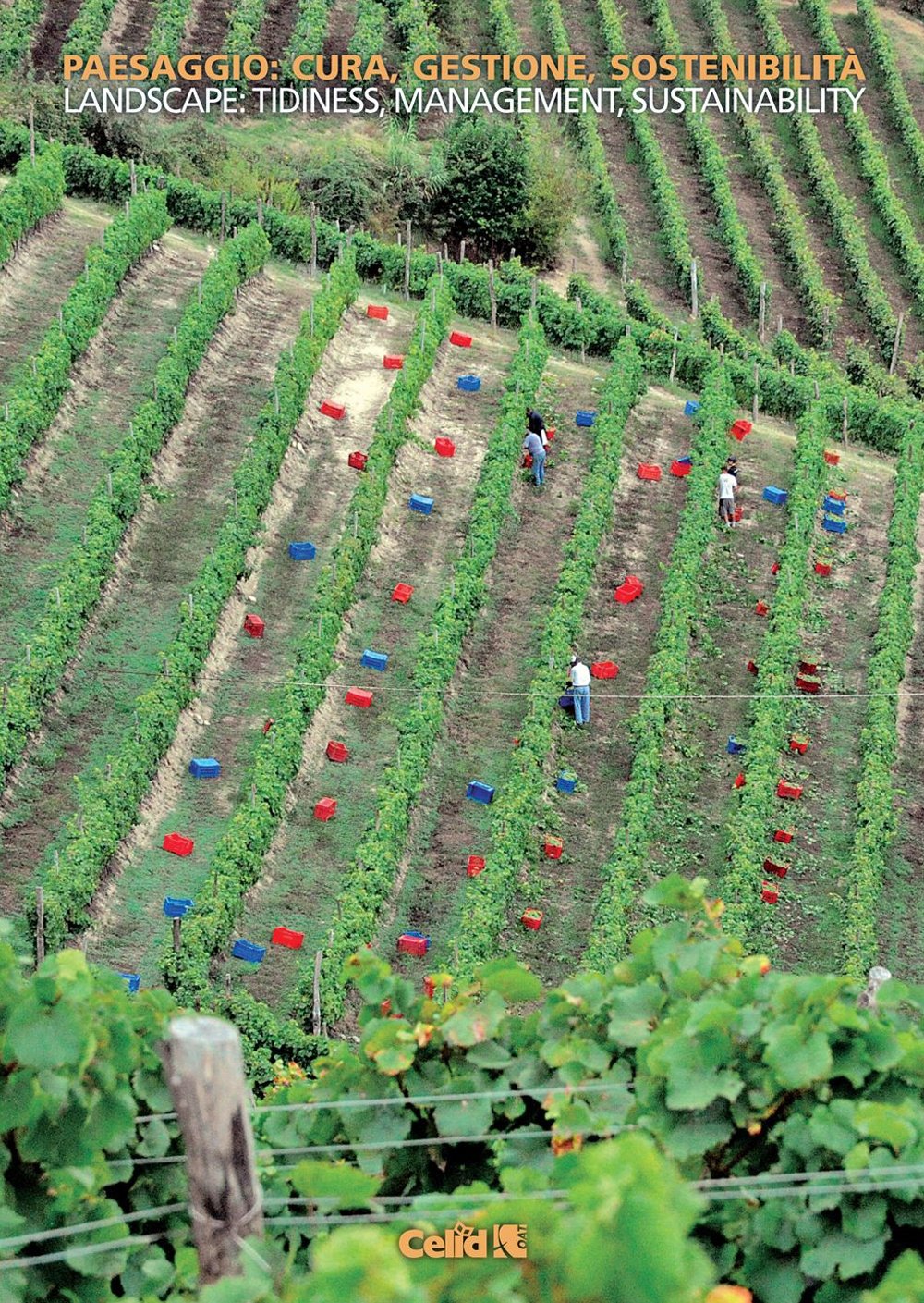 Paesaggio: cura, gestione, sostenibilità-Landscape: tidiness, management, suistainability. Ediz. bilingue book
