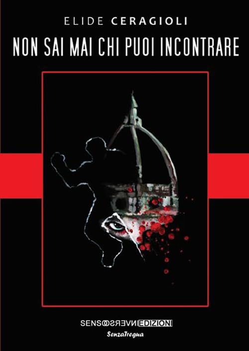 Non sai mai chi puoi incontrare book