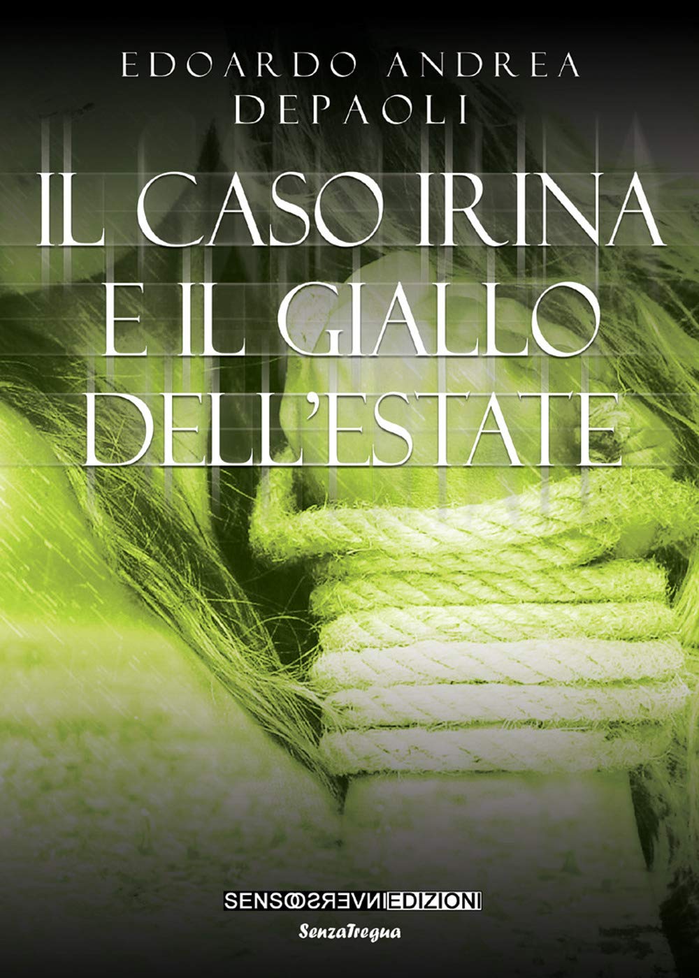 Il caso Irina e il giallo dell'estate book