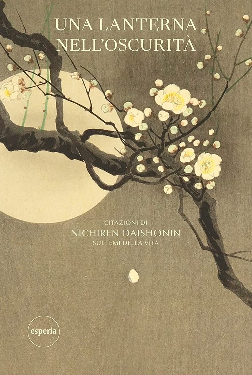 Una lanterna nell'oscurità. Citazione di Nichiren Daishonin su temi della vita Reference Books
