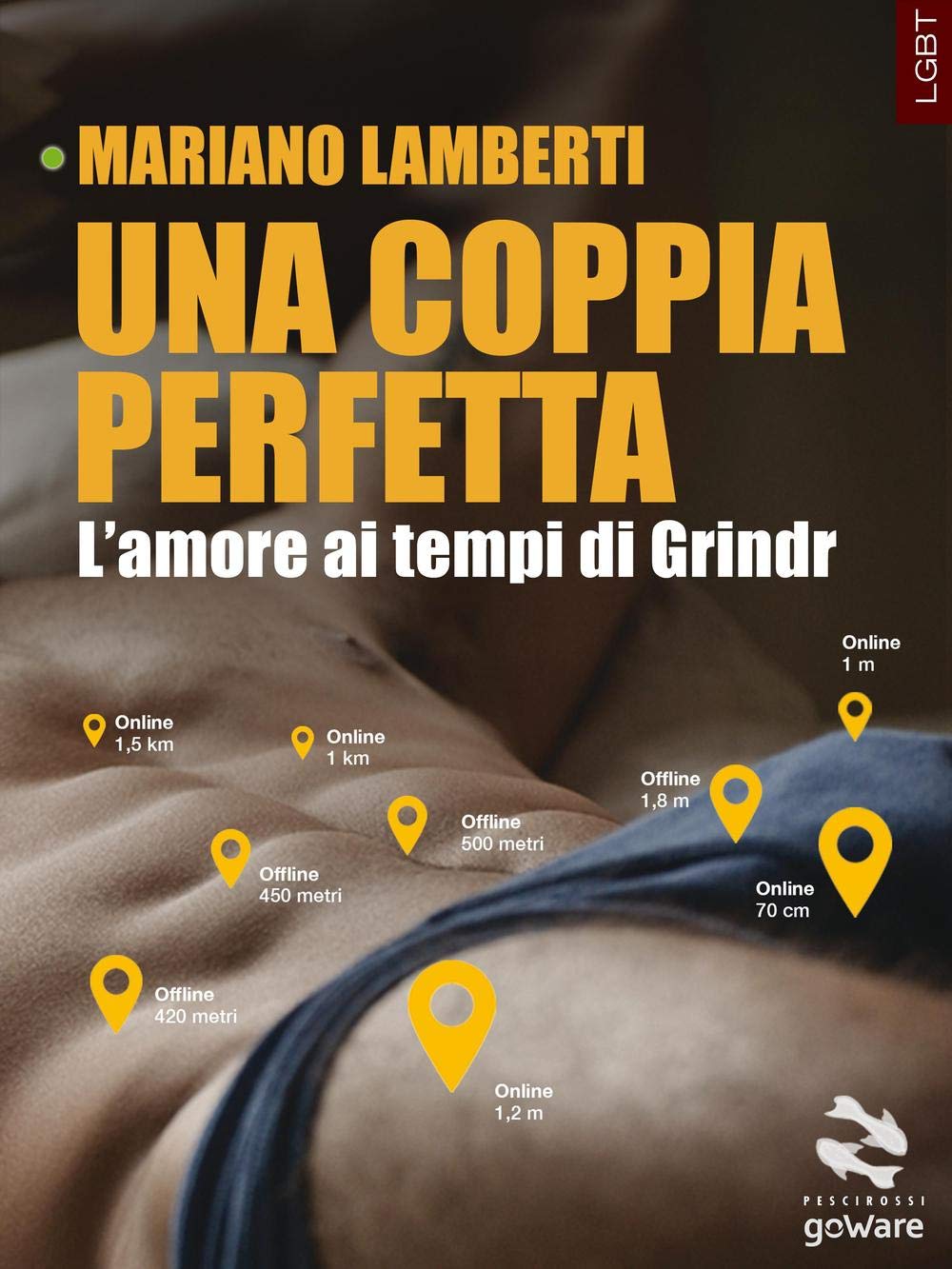 Una coppia perfetta. L'amore ai tempi di Grindr (Pesci rossi - goWare) LGBTQ+