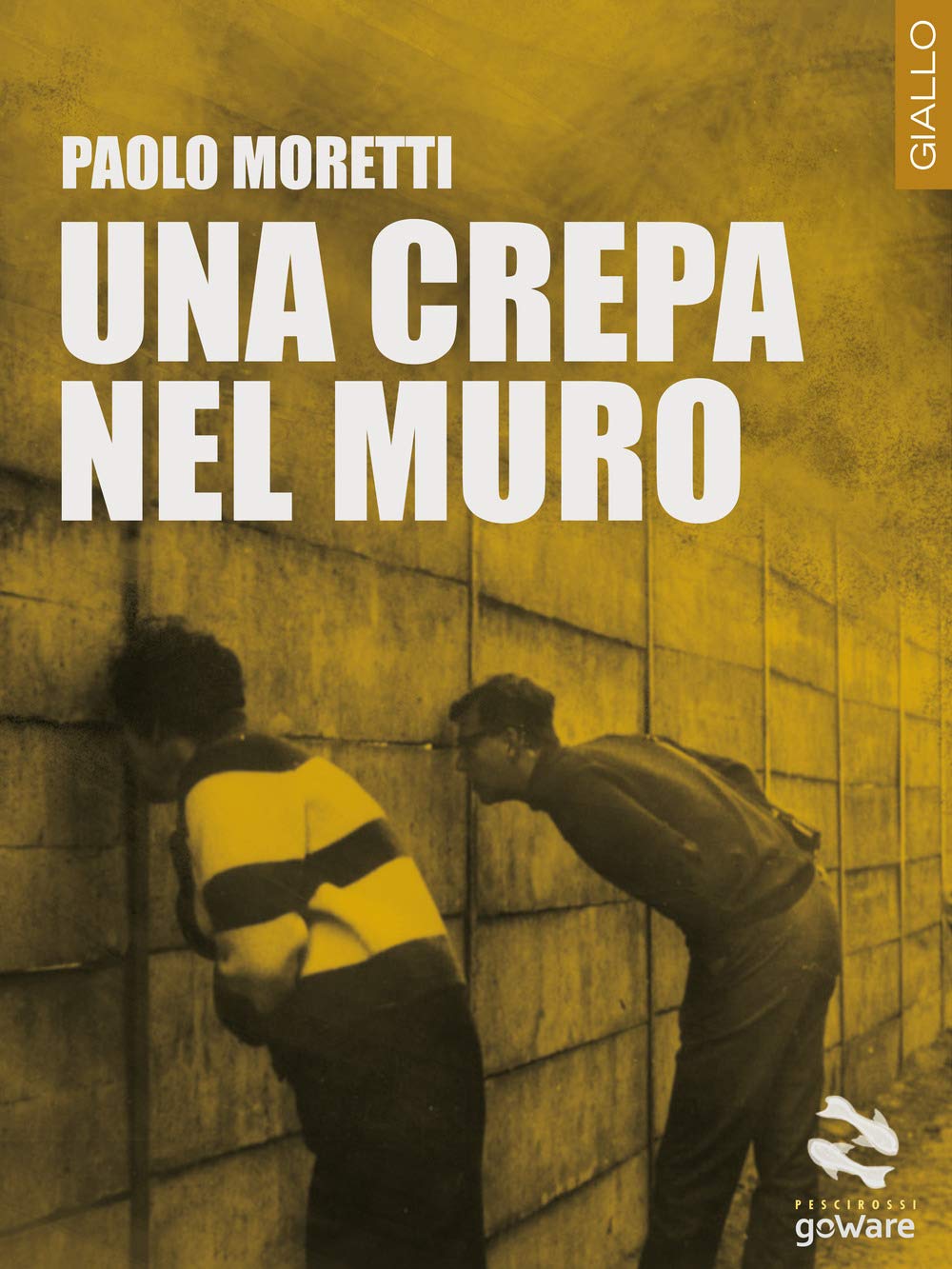 Una crepa nel muro book