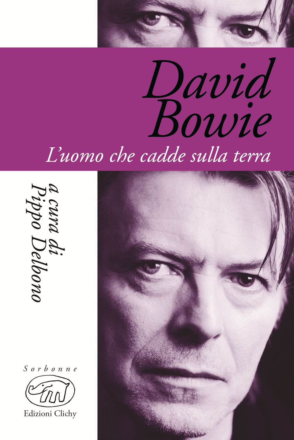 David Bowie. L'uomo che cadde sulla terra book