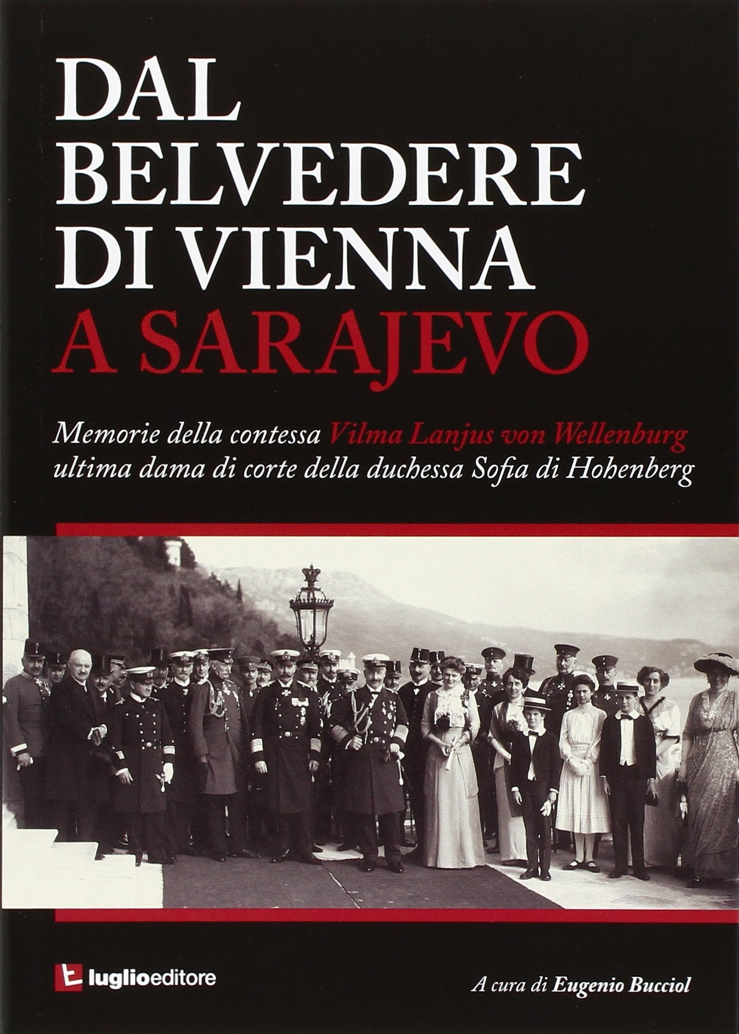 Dal Belvedere di Vienna a Sarajevo. Memorie della contessa Vilma Lanjus von Wellenburg ultima dama di corte della duchessa Sofia di Hohenberg Art & Literature