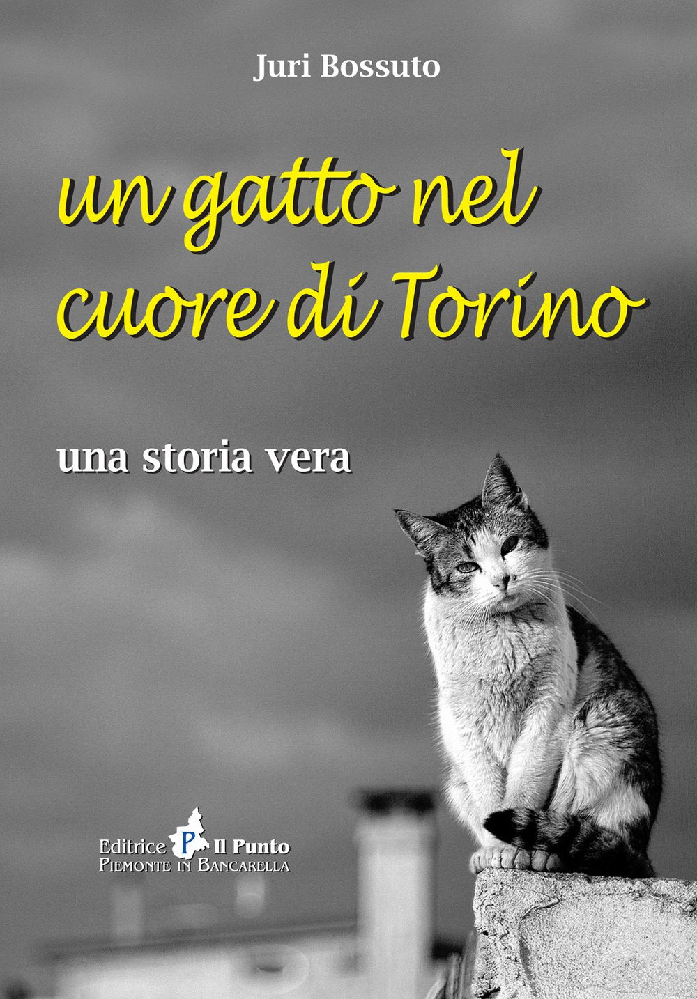 Un gatto nel cuore di Torino. Una storia vera book