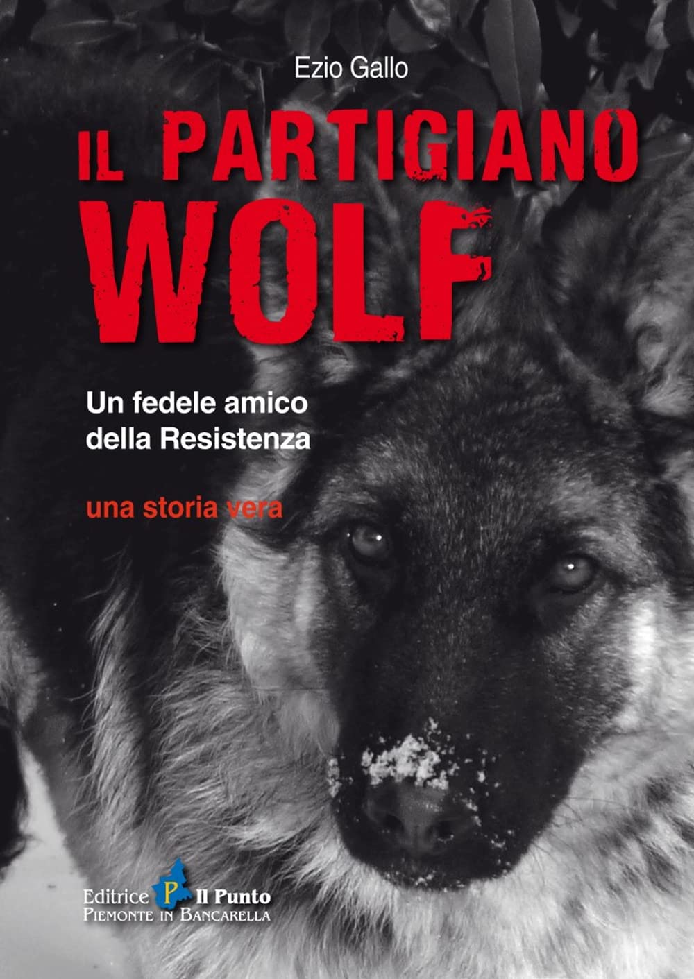 Il partigiano Wolf. Un fedele amico della Resistenza book