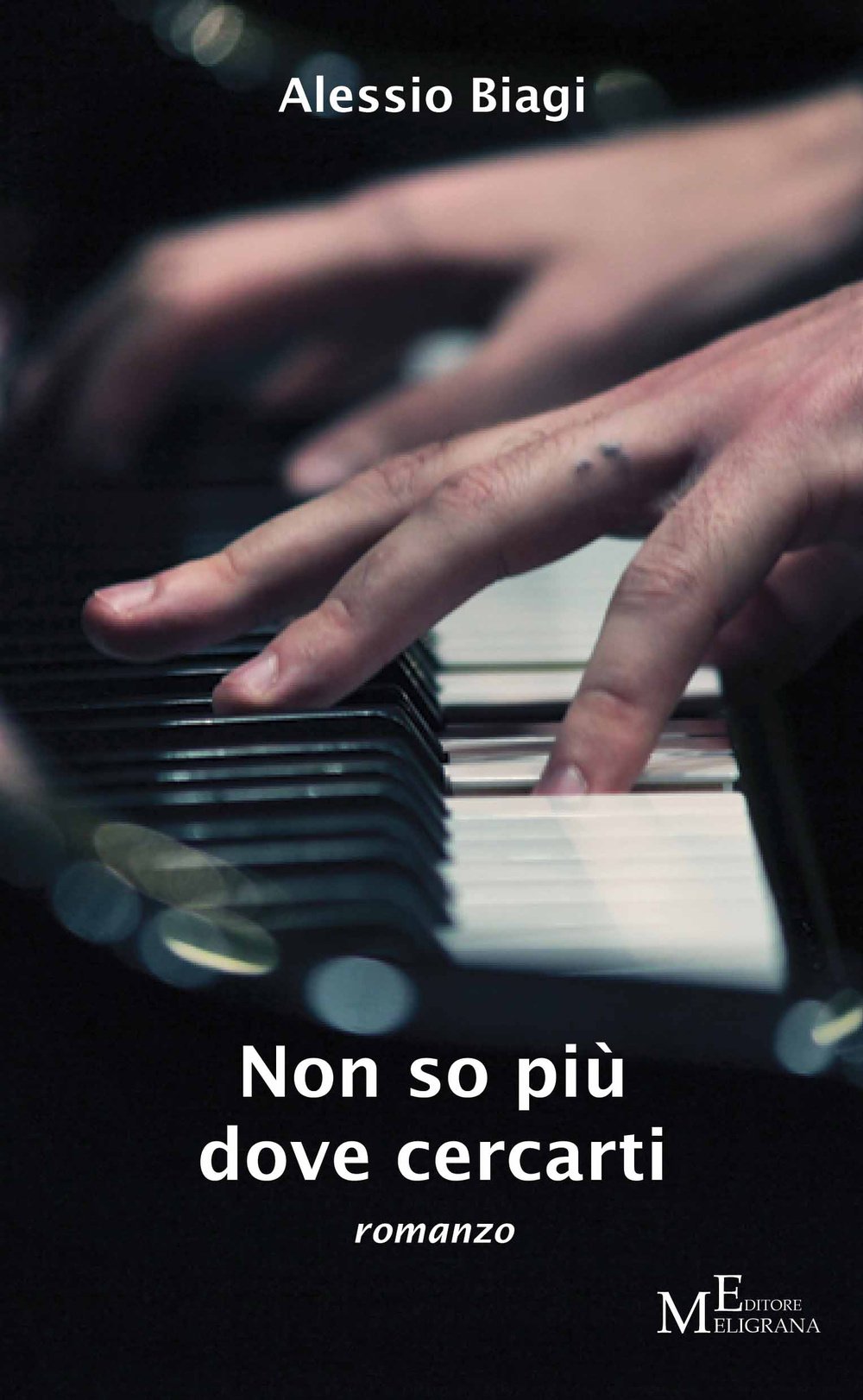 Non so più dove cercarti Contemporary literature