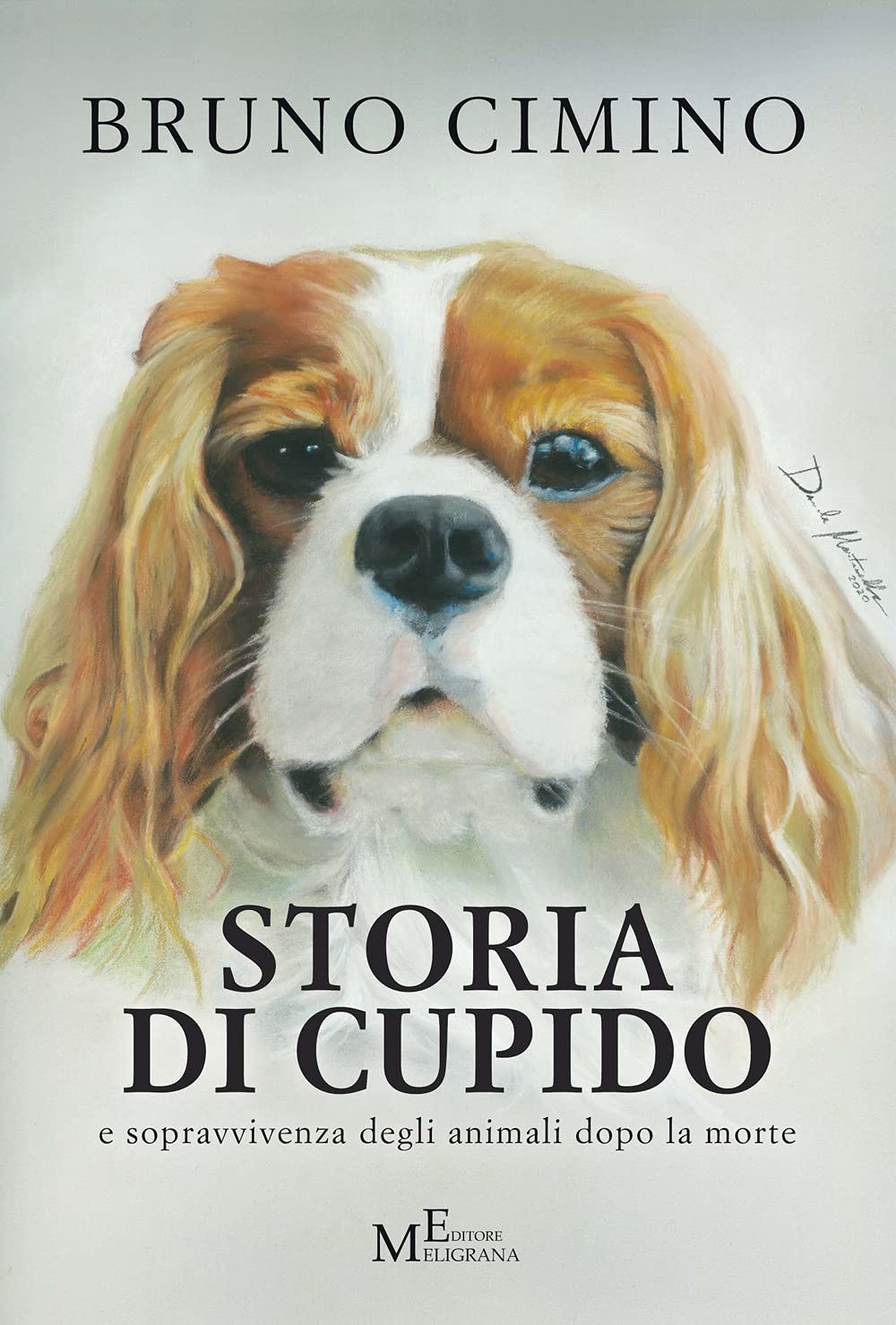 Storia di Cupido e sopravvivenza degli animali dopo la morte book