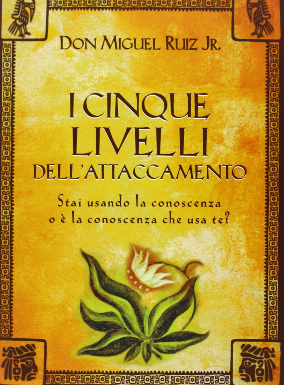 I cinque livelli dell'attaccamento. Stai usando la conoscenza o è la conoscenza che usa te? book
