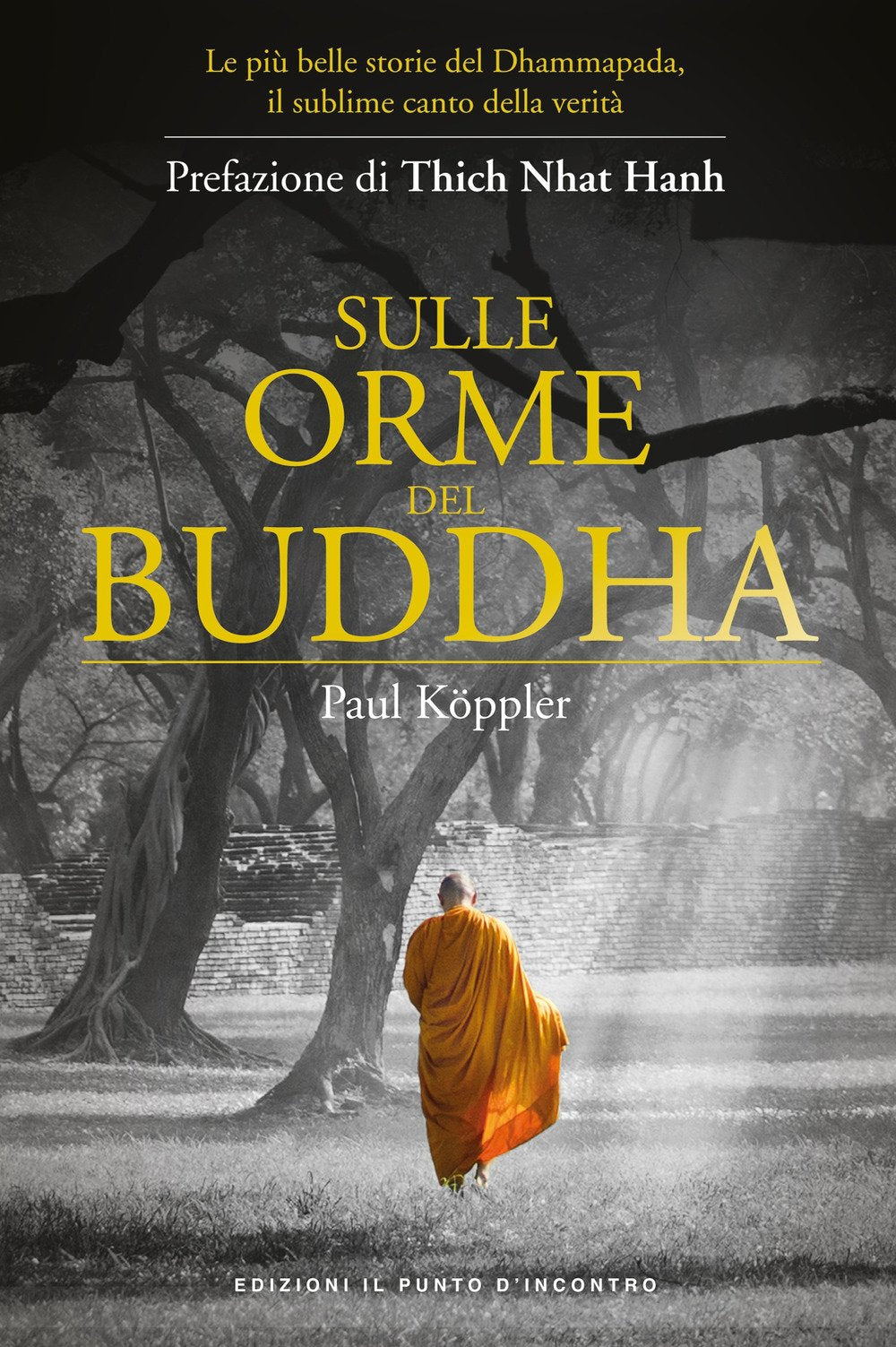 Sulle orme del Buddha. Le più belle storie del Dhammapada, il sublime canto della verità book