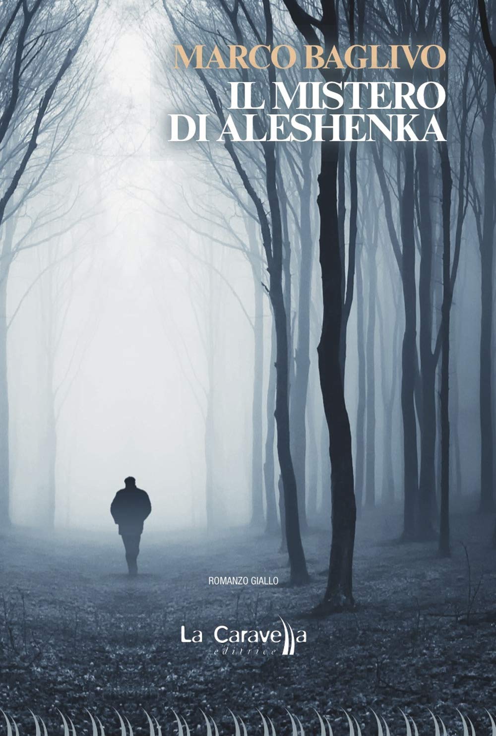 Il mistero di Aleshenka (Il porto) Contemporary literature