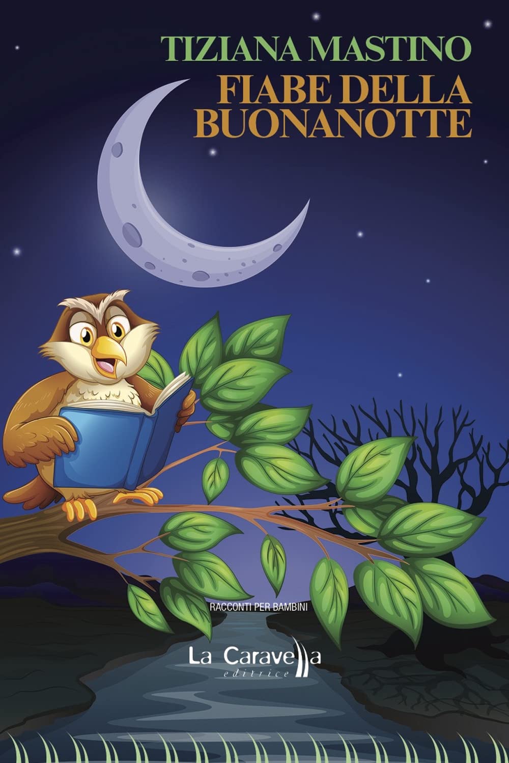 Fiabe della buonanotte book
