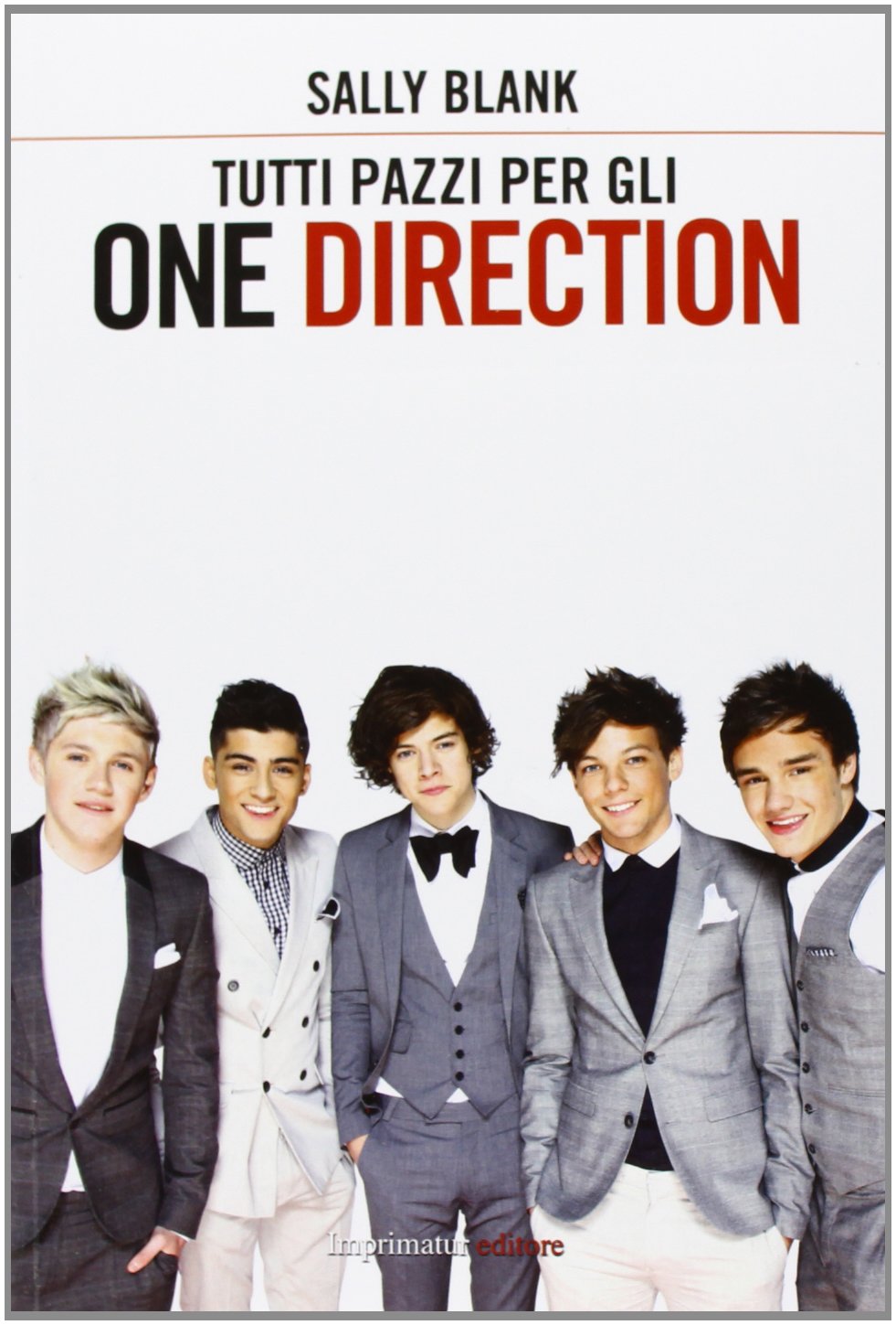 Tutti pazzi per gli One Direction book