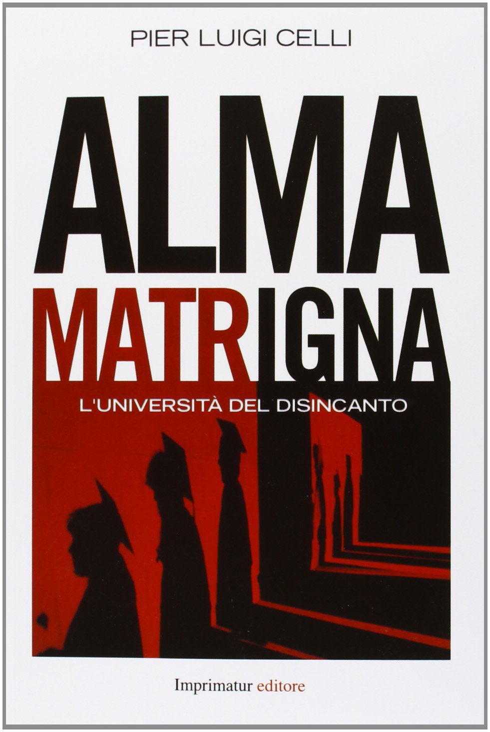 Alma matrigna. L'università del disincanto (Saggi) Books