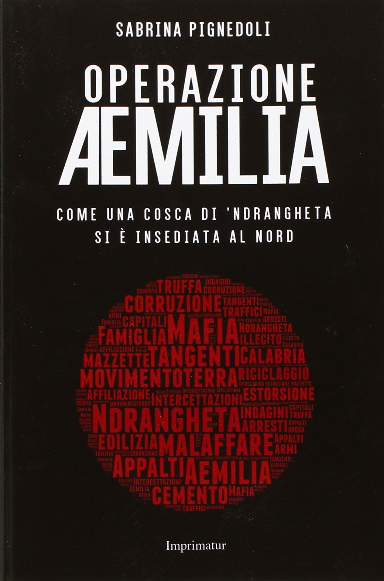 Operazione Aemilia. Come una cosca di 'Ndrangheta si è insediata al Nord book