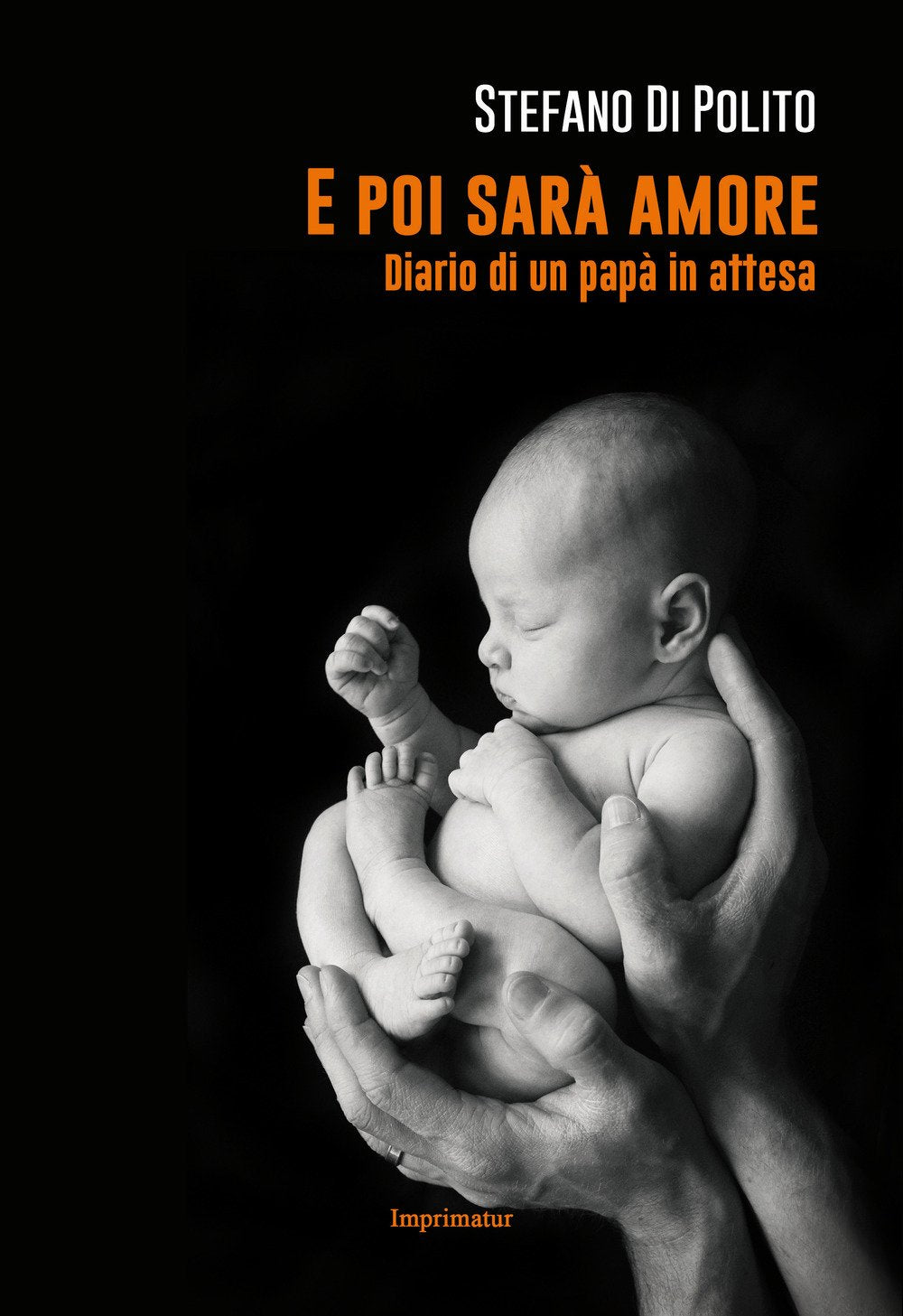E poi sarà amore. Diario di un papà in attesa book