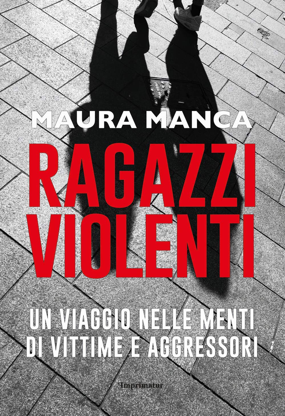 Ragazzi violenti. Un viaggio nelle menti di vittime e aggressori book