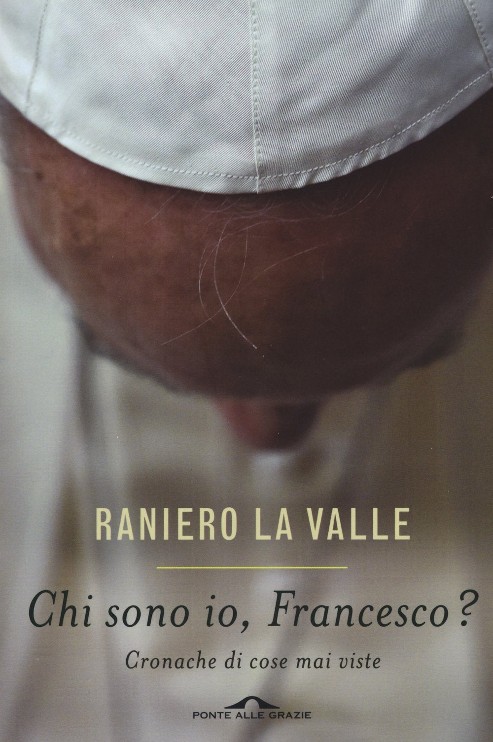 Chi sono io, Francesco? Cronache di cose mai viste Religion & Esotericism