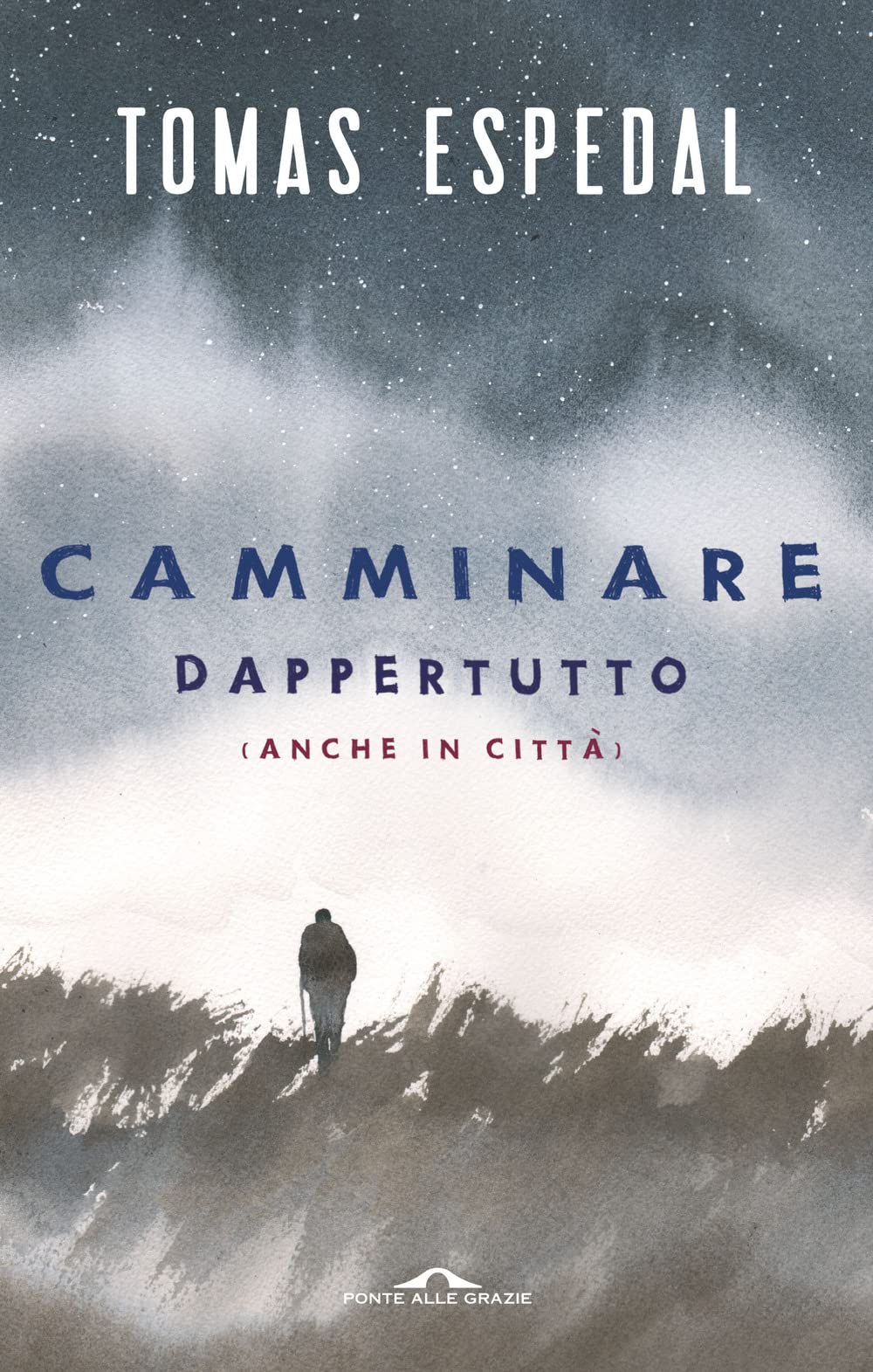 Camminare. Dappertutto (anche in città) (Saggi) Leisure, Home & Garden
