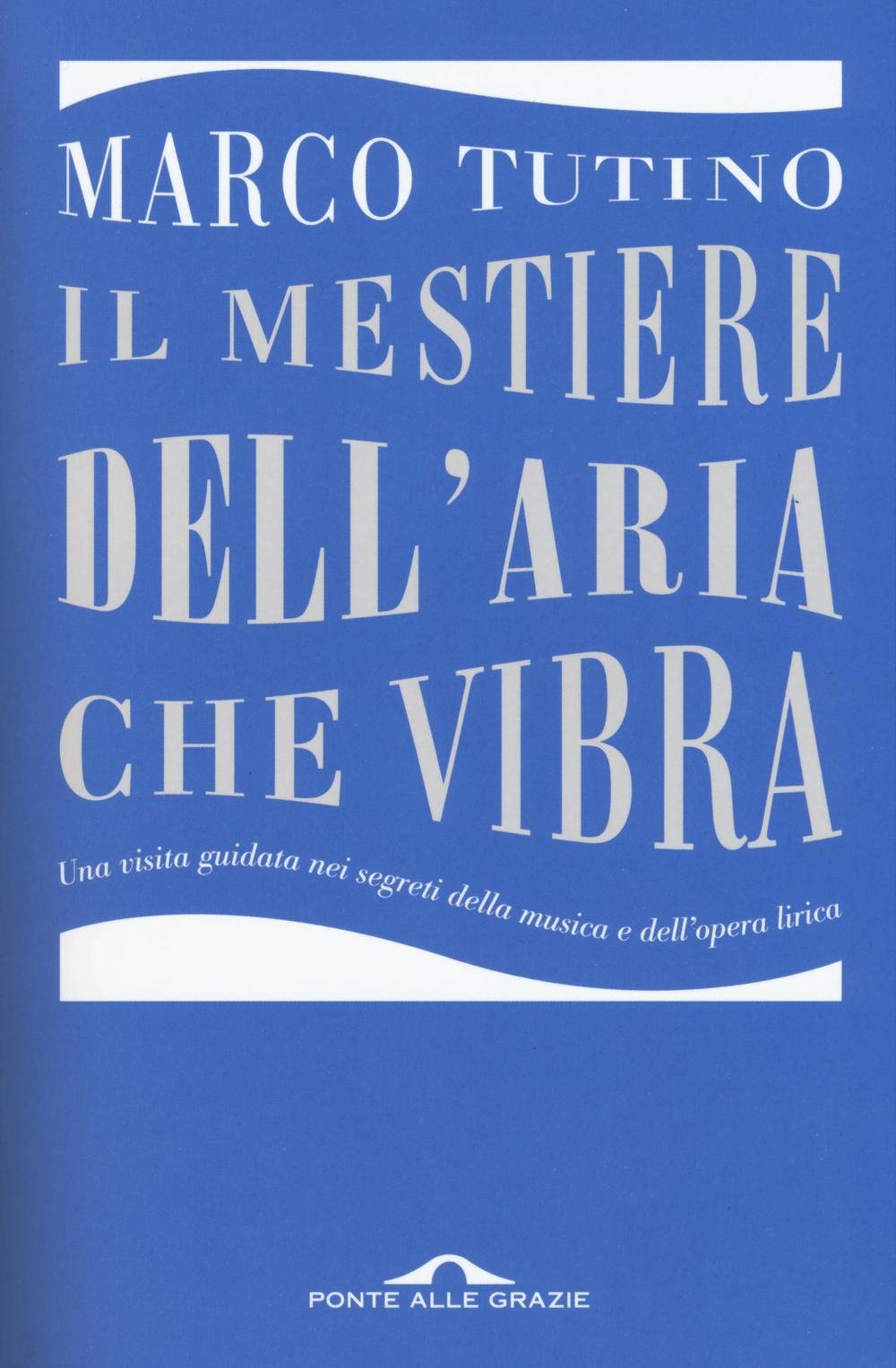 Il mestiere dell'aria che vibra. Una visita guidata nei segreti della musica e dell'opera lirica (Memorie) Art & Literature