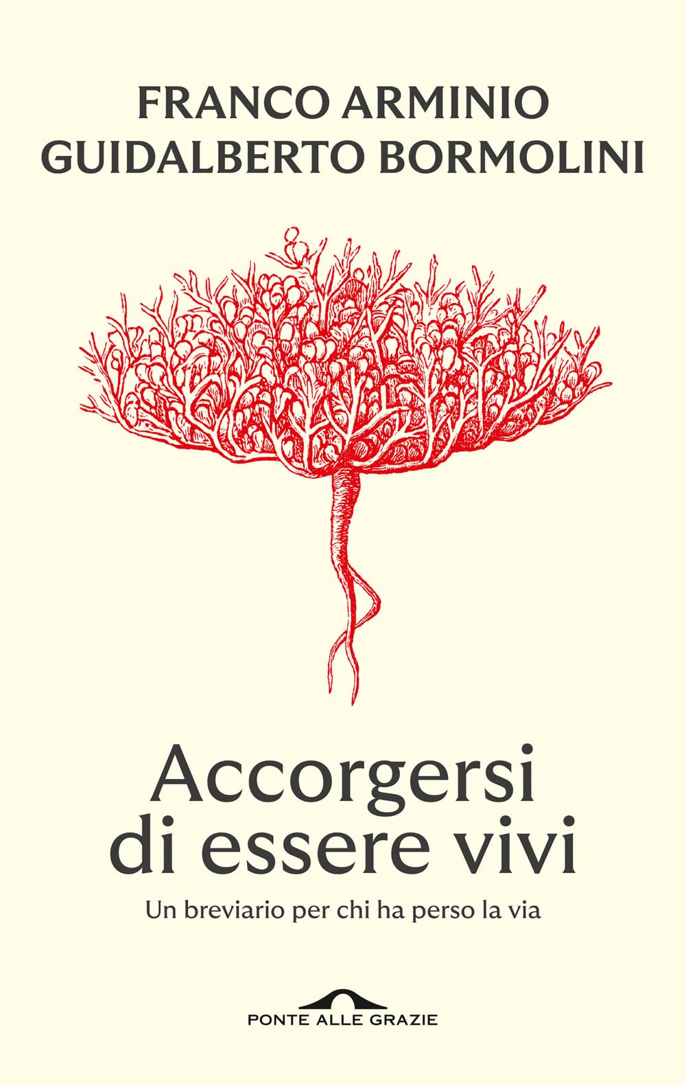 Accorgersi di essere vivi. Un breviario per chi ha perso la via (Fuori collana) Poetry