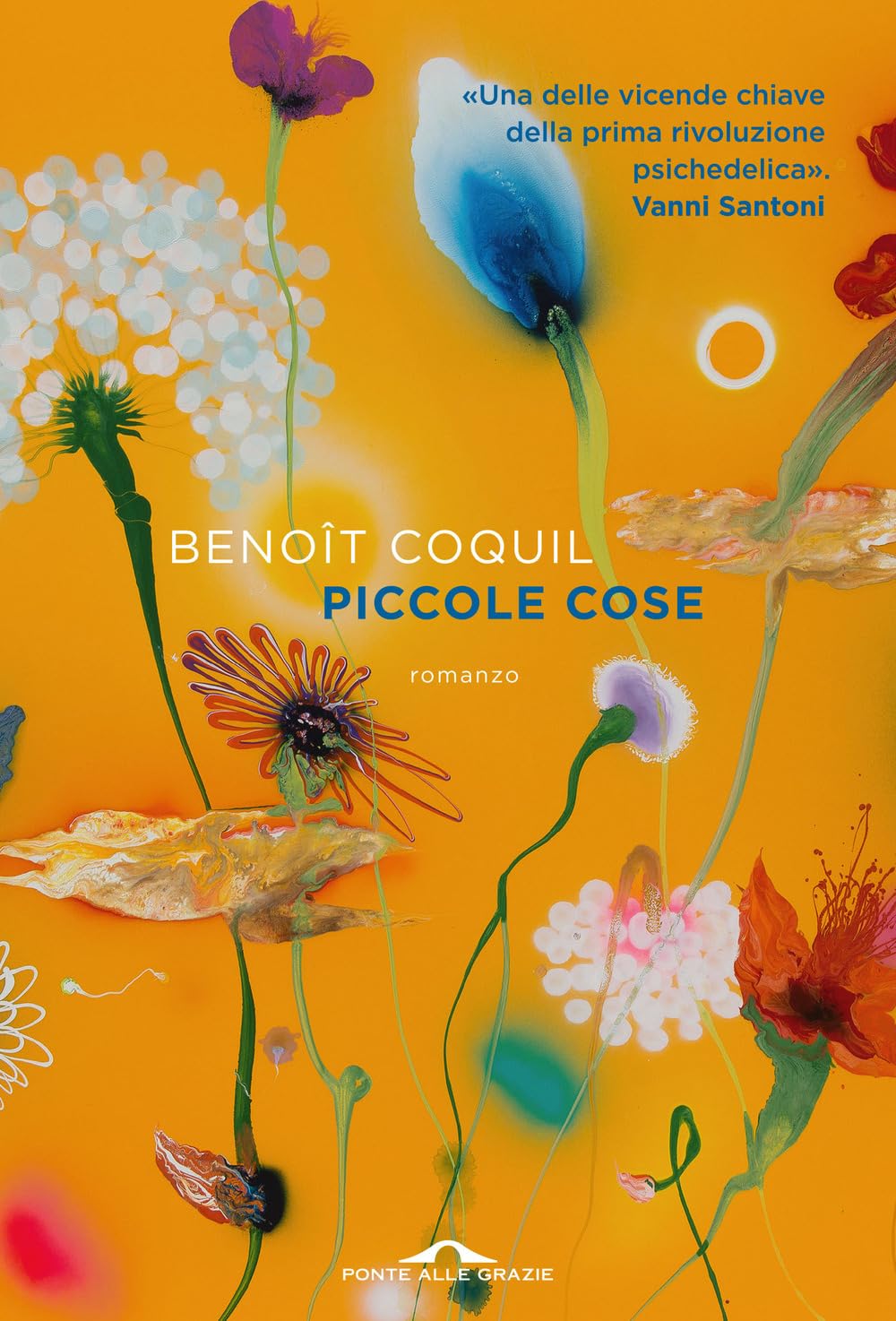Piccole cose Contemporary literature Books