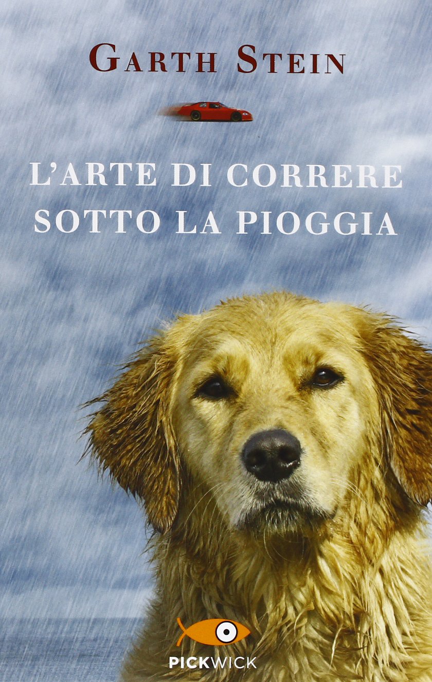 L'arte di correre sotto la pioggia (Pickwick) Contemporary literature