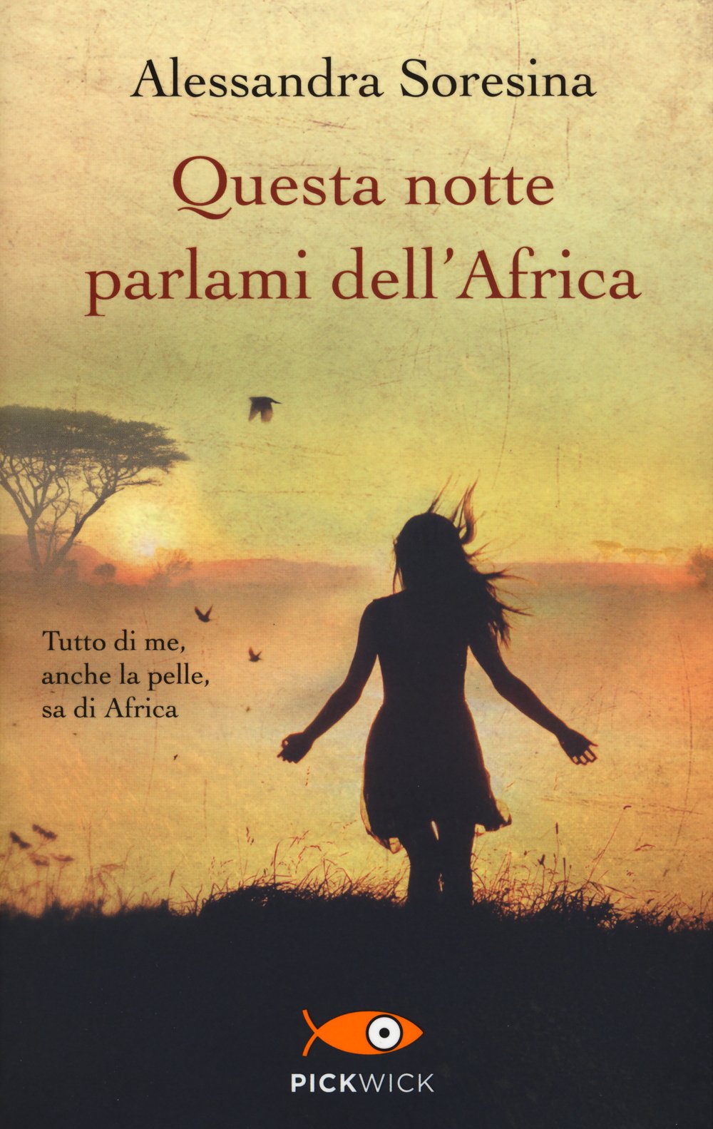 Questa notte parlami dell'Africa book