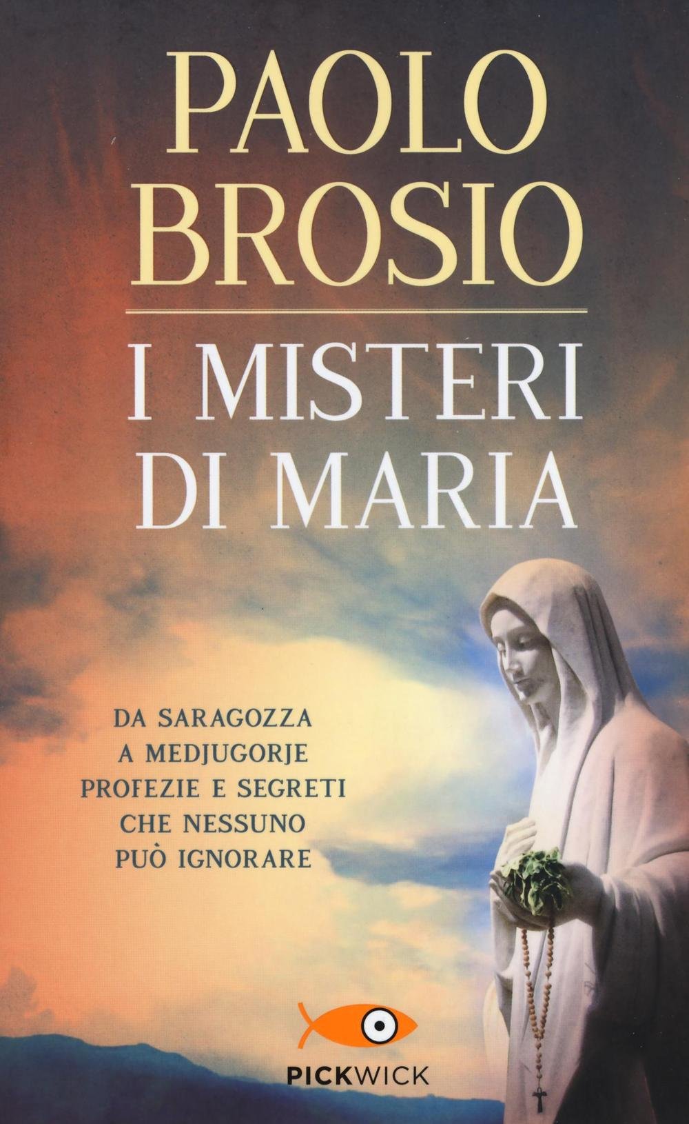 I misteri di Maria. Da Saragozza a Medjugorje profezie e segreti che nessuno può ignorare book