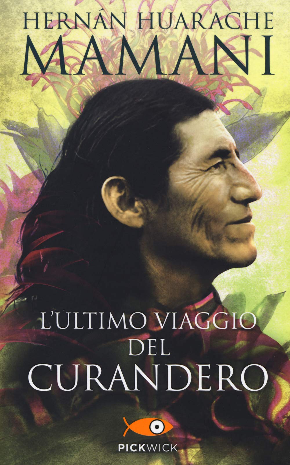 L'ultimo viaggio del curandero book