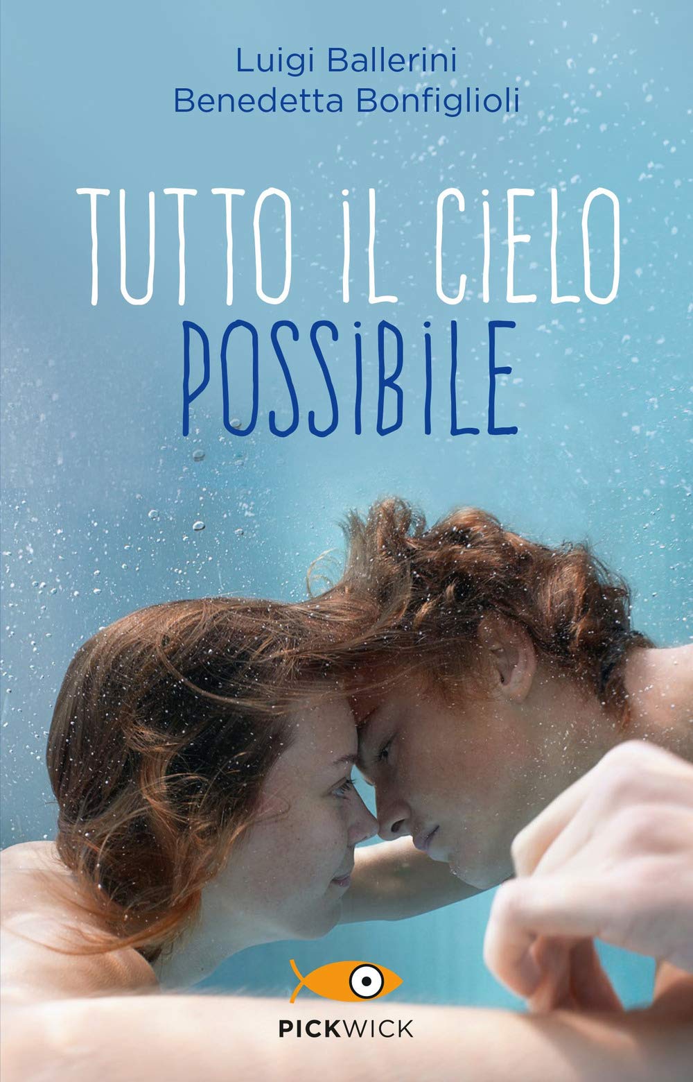 Tutto il cielo possibile book