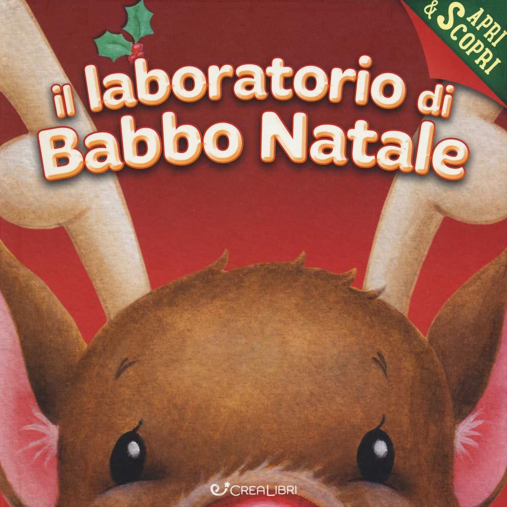 Il laboratorio di Babbo Natale. Apri & scopri. Ediz. a colori book