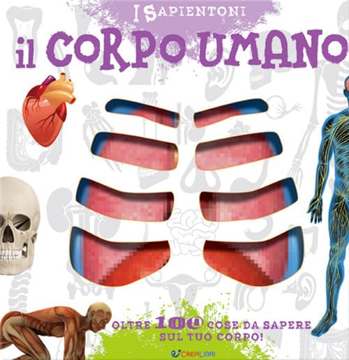 Il corpo umano. Oltre 100 cose da sapere sul tuo corpo book