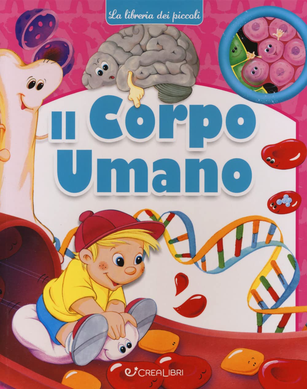 Il corpo umano. Ediz. a colori book