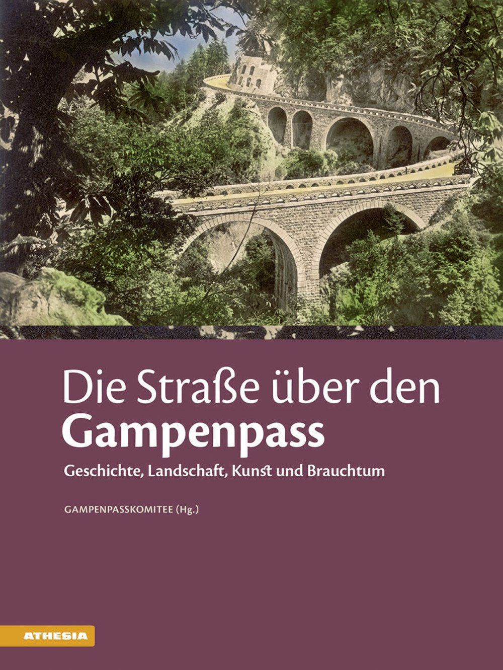 Die Straße über den Gampenpass: Geschichte, Landschaft, Kunst und Brauchtum Geology & Geography