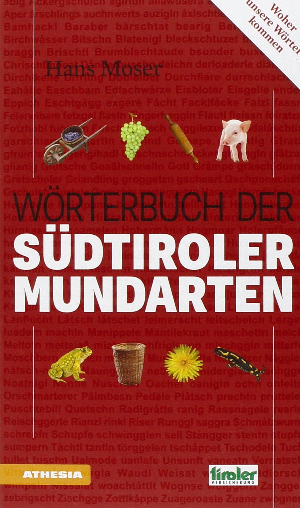 Wörterbuch der Südtiroler Mundartenn book