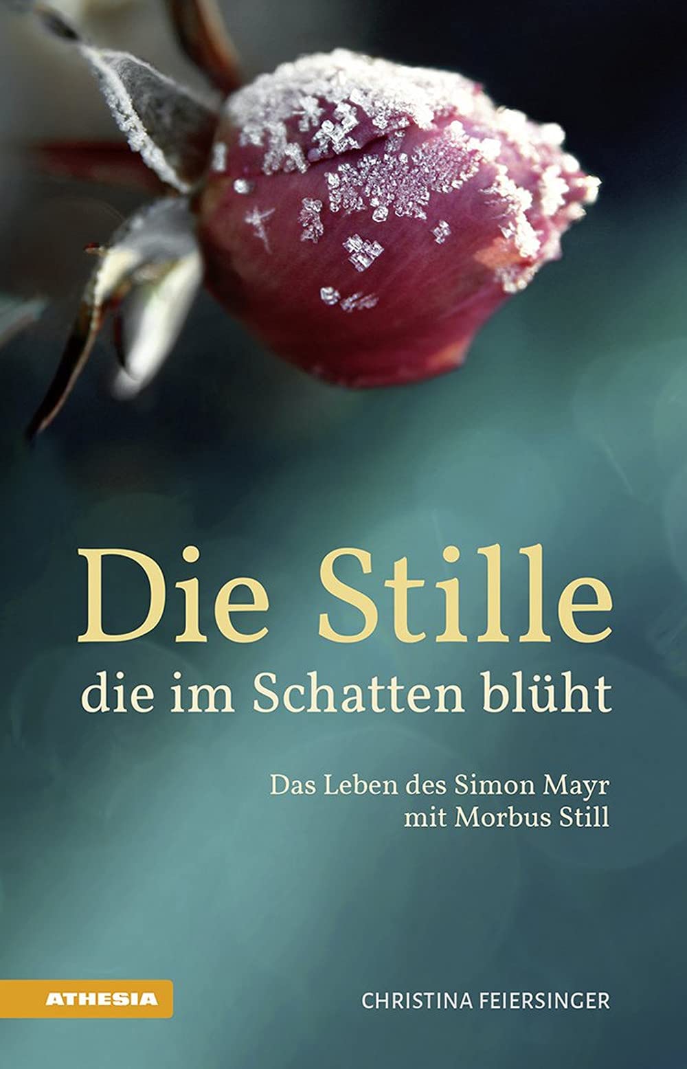 Die Stille, die im Schatten blüht Medicine