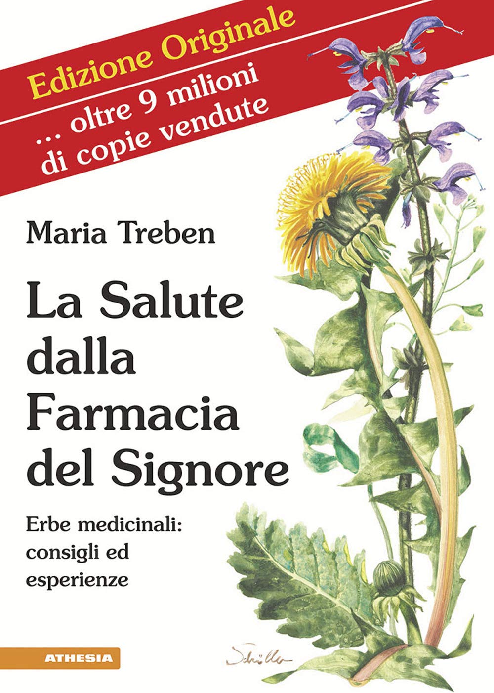 La Salute dalla Farmacia del Signore: Erbe medicinali: consigli ed esperienze Health, Nutrition & Fitness