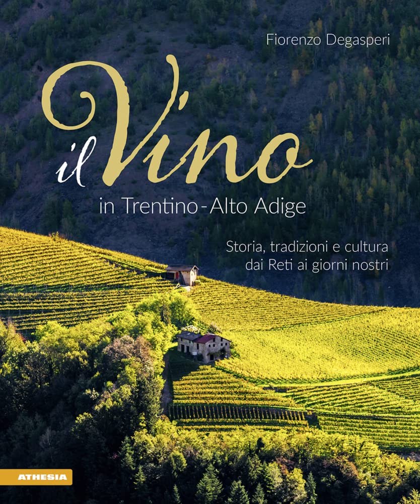 Il vino in Trentino Alto Adige. Storia, tradizioni e cultura dai Reti ai giorni nostri book