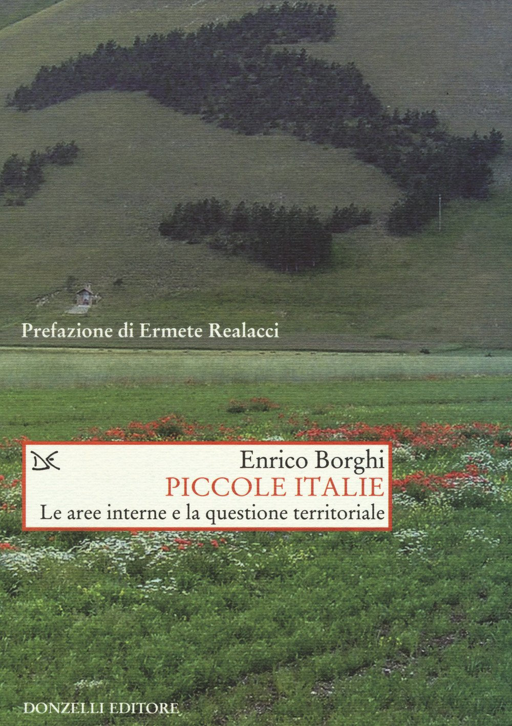 Piccole Italie. Le aree interne e la questione territoriale (Saggi. Storia e scienze sociali) Politics & History
