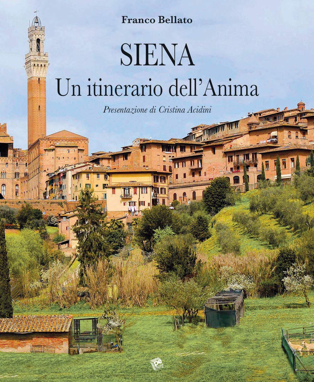 Siena. Un itinerario dell'anima book