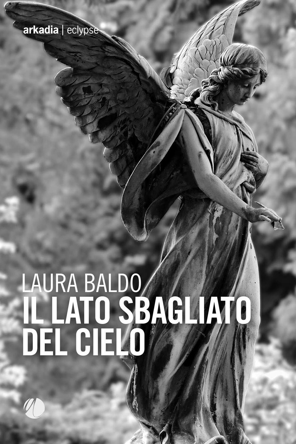 Il lato sbagliato del cielo book